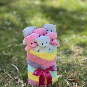 مینی 6 عدد تدی