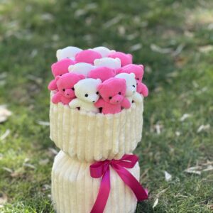 پرمیوم 13 عدد تدی