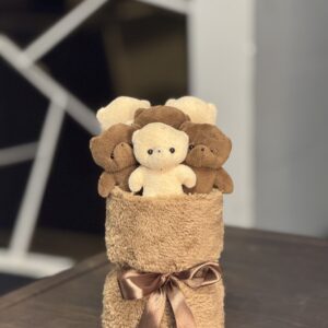 مینی 6 عدد تدی