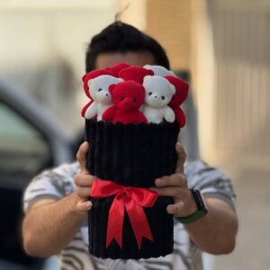 کلاسیک 8 عدد تدی