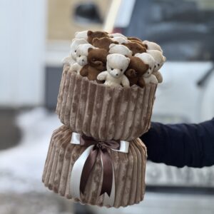 پرمیوم 13 عدد تدی