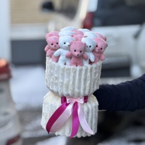 پرمیوم 13 عدد تدی