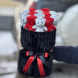 پرمیوم 13 عدد تدی