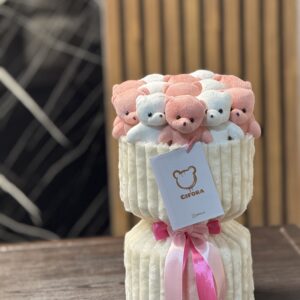 پرمیوم 13 عدد تدی