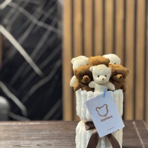 مینی 6 عدد تدی