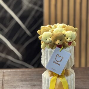 کلاسیک 8 عدد تدی