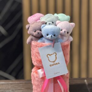 مینی 6 عدد تدی