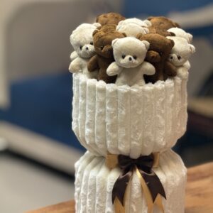 پرمیوم 13 عدد تدی