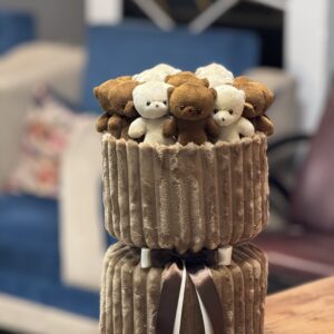 پرمیوم 13 عدد تدی