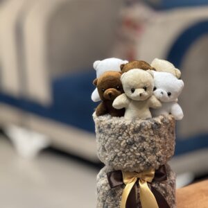 مینی 6 عدد تدی