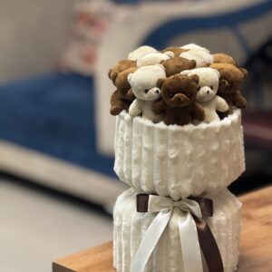 پرمیوم 13 عدد تدی