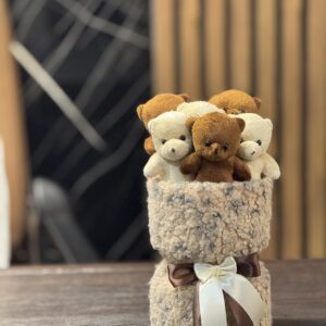 مینی 6 عدد تدی