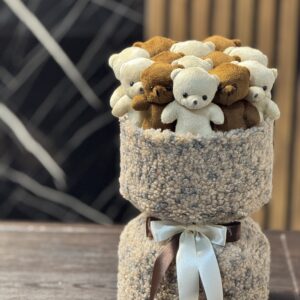 پرمیوم 13 عدد تدی