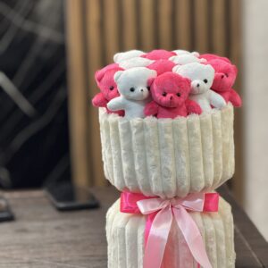 پرمیوم 13 عدد تدی