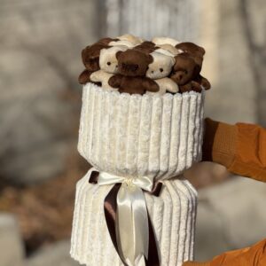 پرمیوم 13 عدد تدی