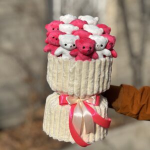 پرمیوم 13 عدد تدی