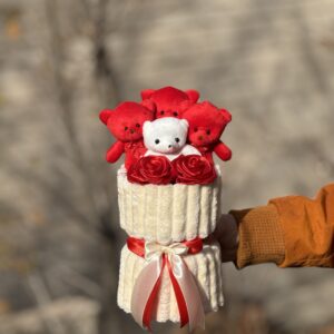 مینی 6 عدد تدی