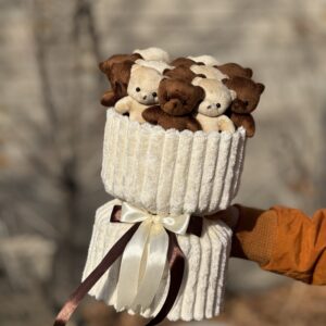 پرمیوم 13 عدد تدی