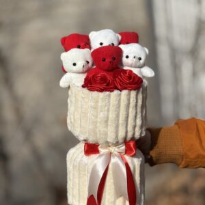 مینی 6 عدد تدی