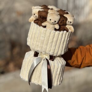 پرمیوم 13 عدد تدی