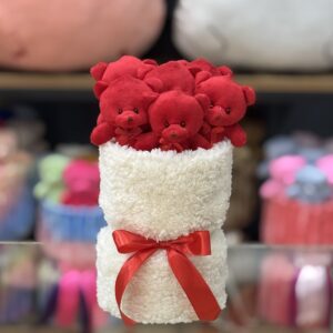 بوکت عروسکی مینی 6 عدد تدی